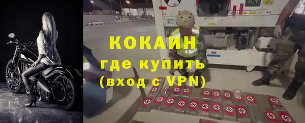 PSILOCYBIN Лиски