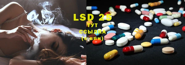PSILOCYBIN Лиски