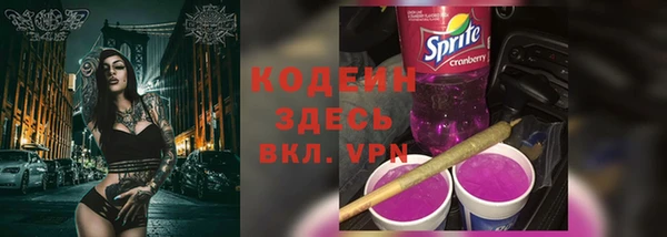 сатива Магас