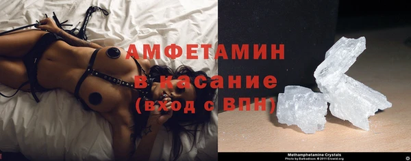 сатива Магас