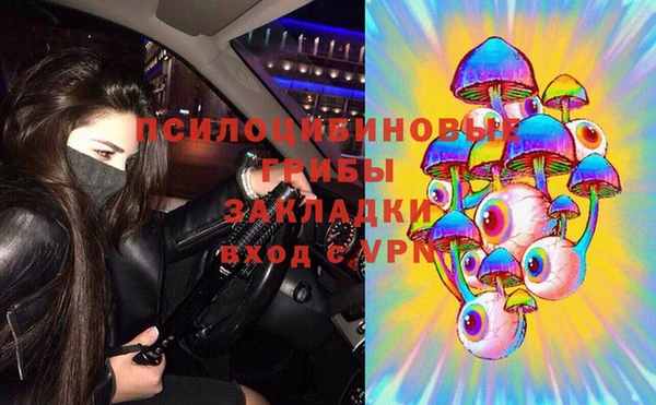 дмт Липки