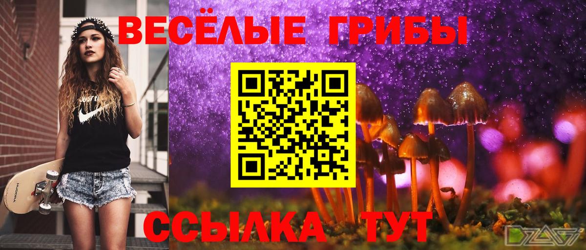 Галлюциногенные грибы MAGIC MUSHROOMS  Псилоцибиновые грибы прущие грибы  Мелеуз  Вход с VPN 