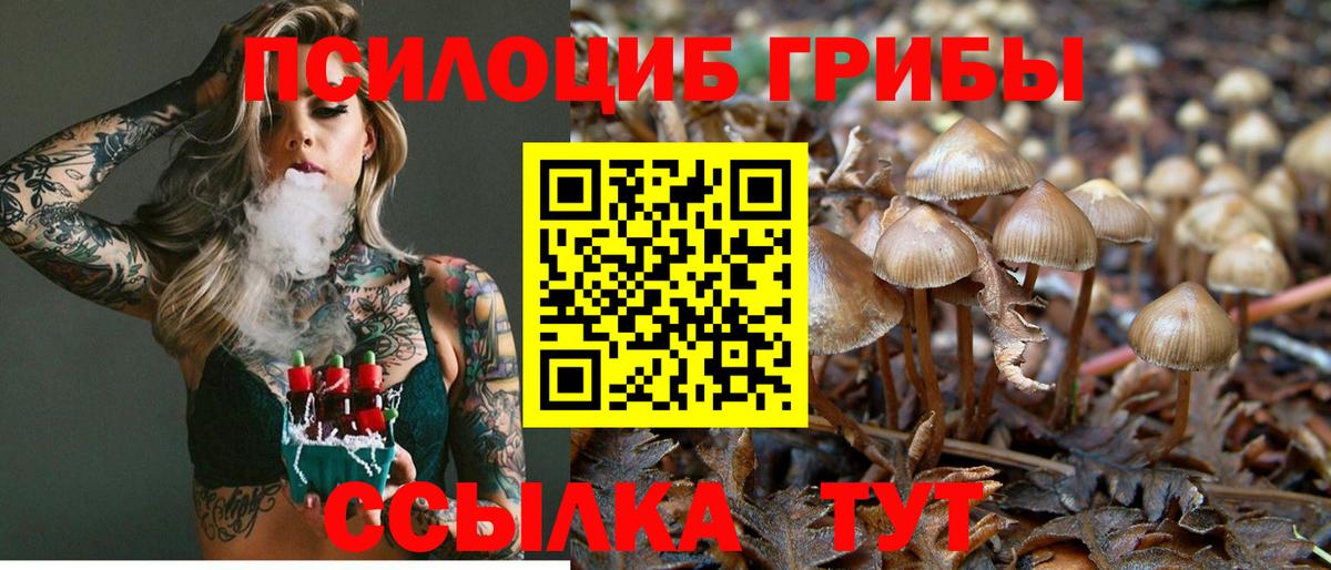 Галлюциногенные грибы ЛСД  закладка  Мелеуз  Псилоцибиновые грибы Psilocybe 